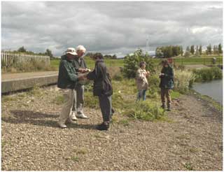 Llanelli Naturalists studying the alien flora on the beach of Sandy Water Park Lake, 8 September 2001. Photo Richard Pryce