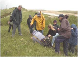 Flora Study in the rain, Ashburnham Dunes, 25 May 2002. Photo Richard Pryce