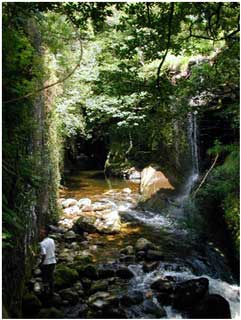 Cwm Twrch - Carms on the left and Brecknock on the right.  This humid gorge supports Hygrobiella laxifolia, Entosthodon attenuatus, Jubula hutchinsae and, on the wrong side of the border, Cololejeunea calcarea.  (Photo G. Motley).