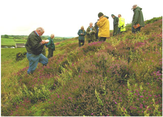 The Basal Grits dip-slope clothed with dry acid dwarf-shrub heath showing Heather, Bell Heather and Wood Sage. Photo: Kath Pryce