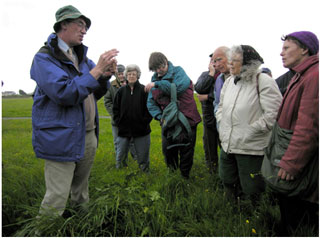Nigel Stringer demonstrating the finer points of Dandelion identification before the opening of the heavens! Photo: Richard Pryce