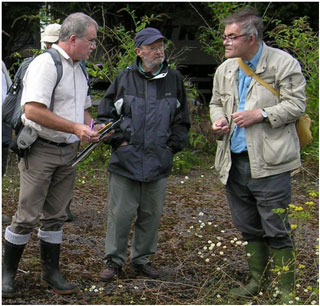The leaders discussing the identification of the various Hypericum species at the Thyssen site. Photo: Kath Pryce