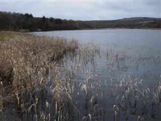 Upper Lliedi Reservoir