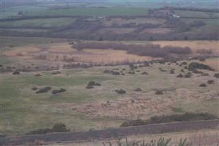Cynheidre Colliery Ponds