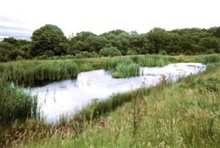 Garnant Golf Course Lagoons
