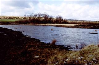 Glyn Tai Pond