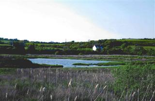Glynea Pond
