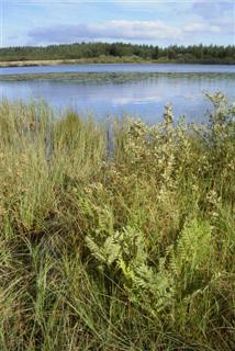 Llyn Llech Owain