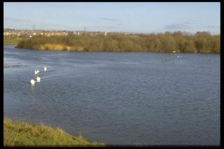 Machynys ponds