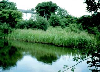 Moat Farm, Llandyry