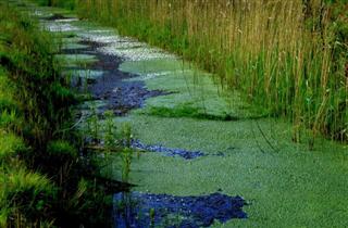 Pembrey Canal