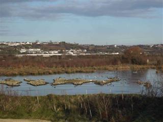 WWT, Penclacwydd