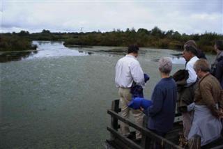 WWT, Penclacwydd