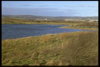 Penrhyngwyn Pond