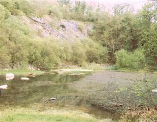 Pistyll Pond
