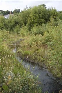 Pwll Ash Lagoons