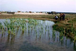 Twywn Burrows: 'RAF Target Pond'